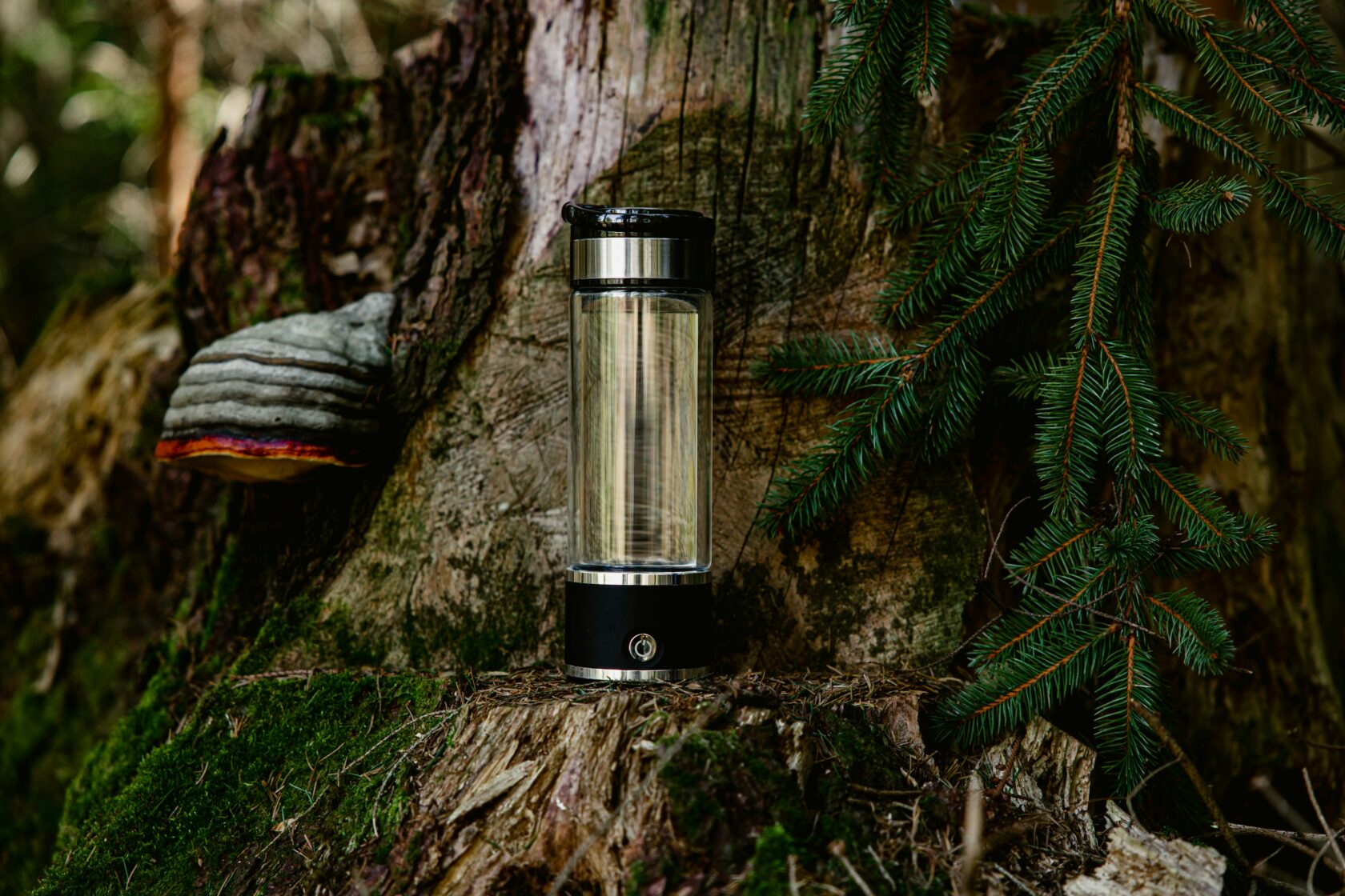 A modern lantern with a clear glass body and sleek black base, placed on a mossy log in a forest setting, surrounded by pine branches and a mushroom.