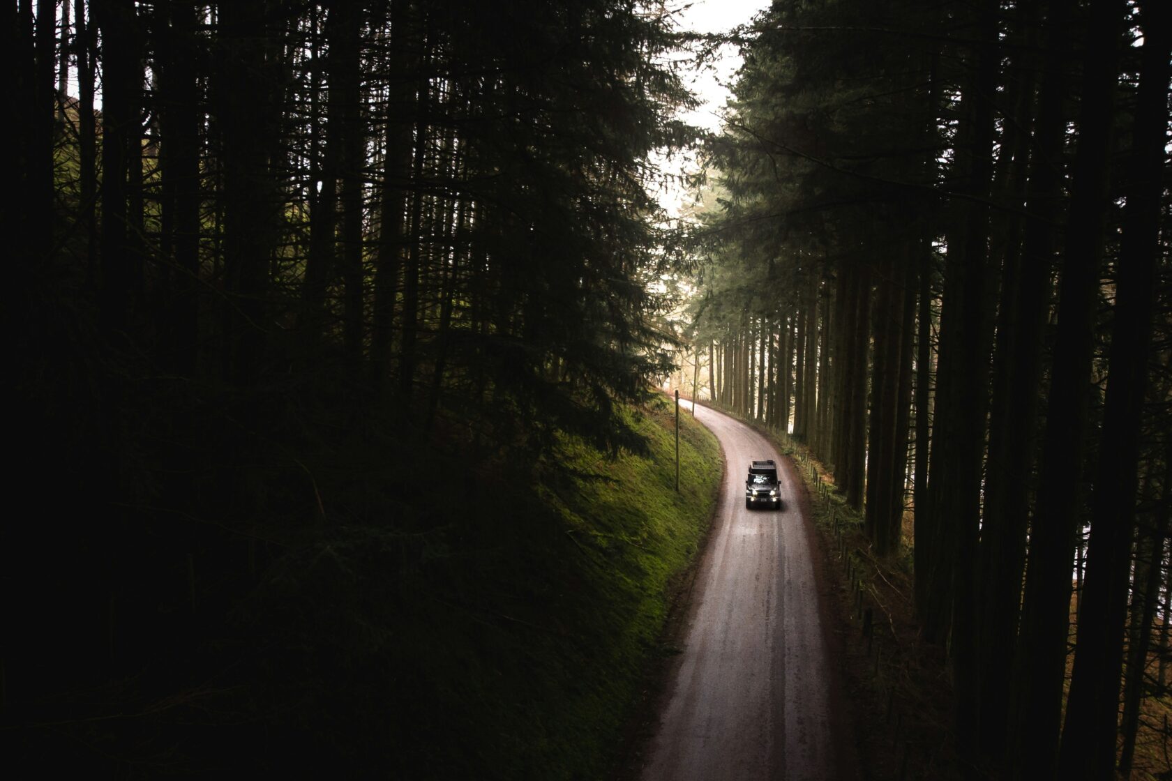 A winding road through a dense forest with tall trees on both sides and a car driving along the path.