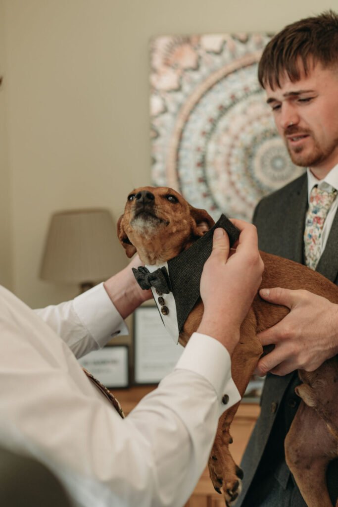 A man dressed in a formal suit holds a small dog wearing a bowtie with two buttons, in a modern interior setting. Shot for Lydia Turner.